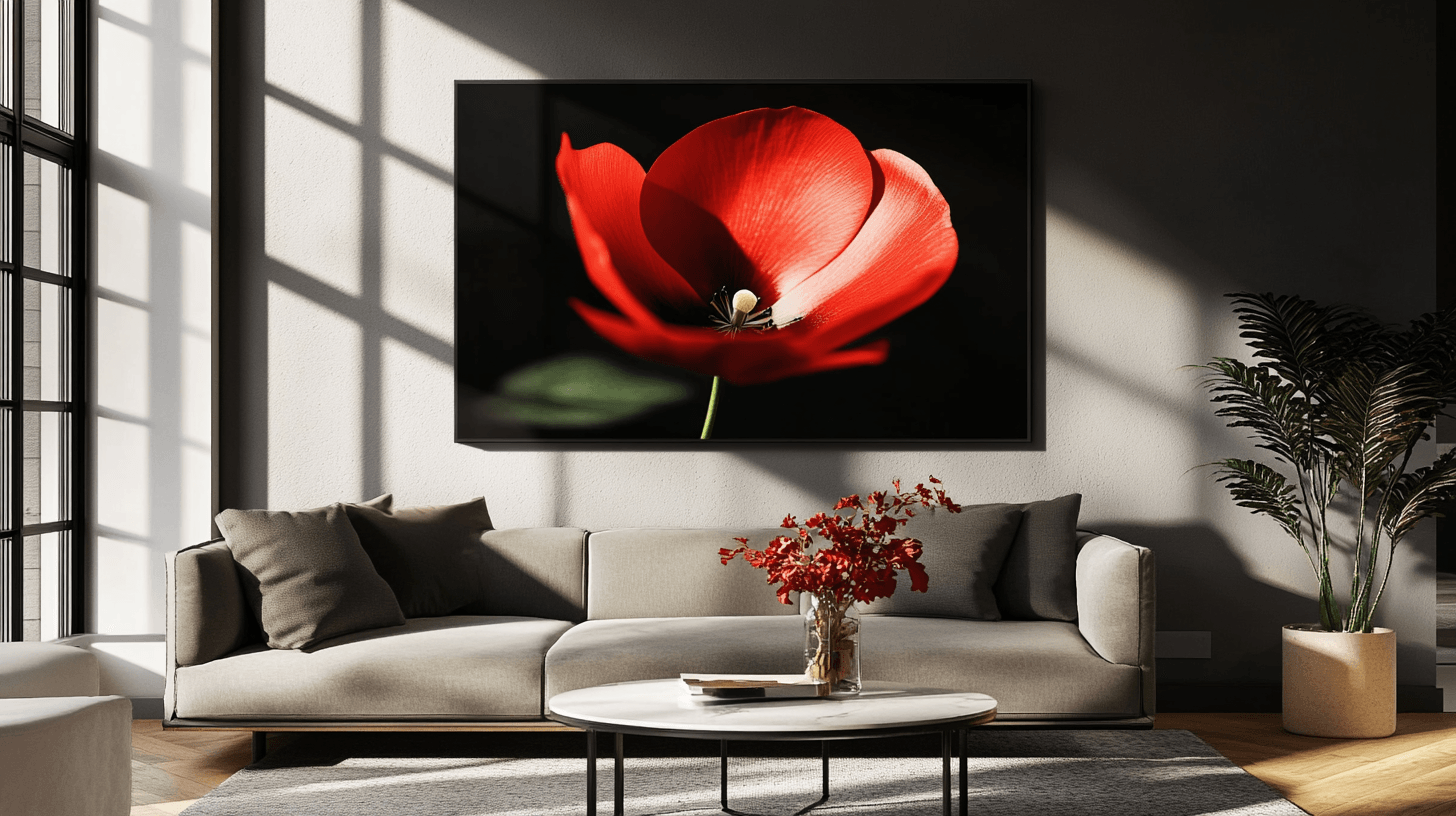 Wall Art: Creative Design Options for Your Walls